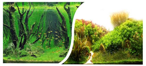 68e57545bc279400c4936723bb5356cc