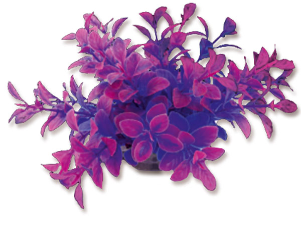 6a21af8f71e2bad9e6decb4352dd055e