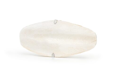 6cd2b0756ee60efacaf15d83699c9ad7