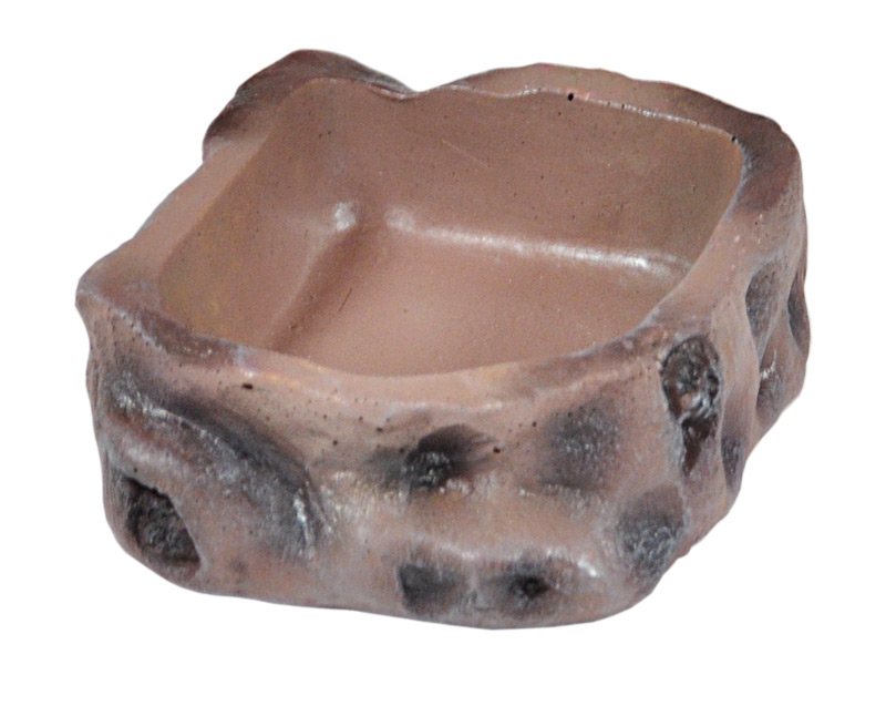 6db053d0a2e93e6b47b31aff972a0b9a