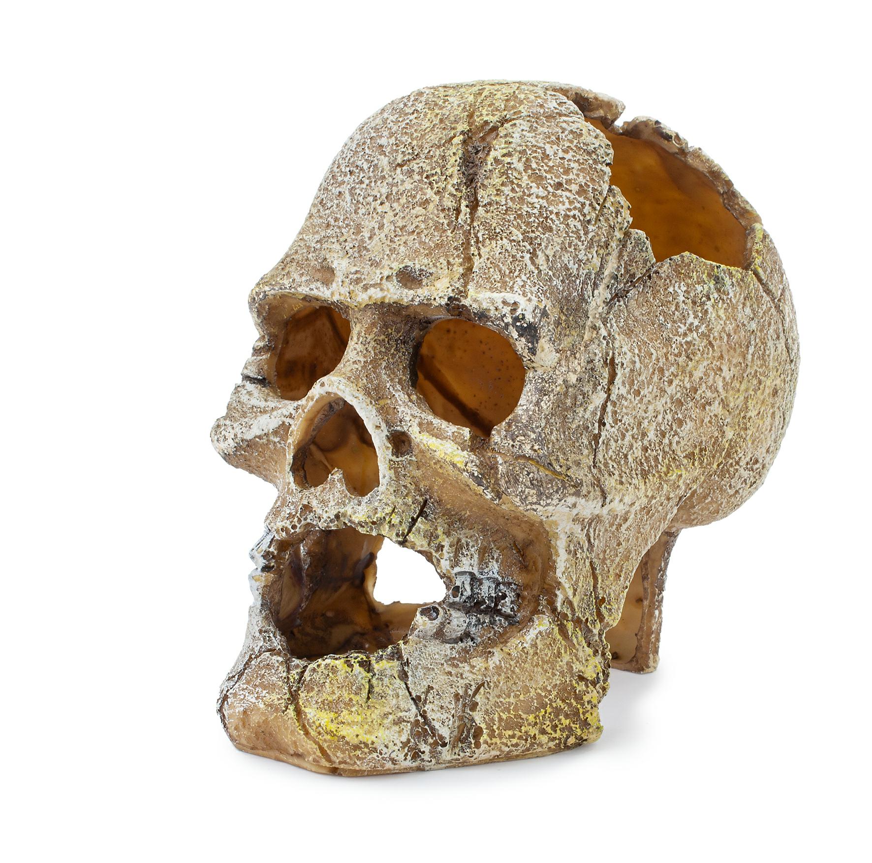 6e4739a871206573684f5a15f1fd2390