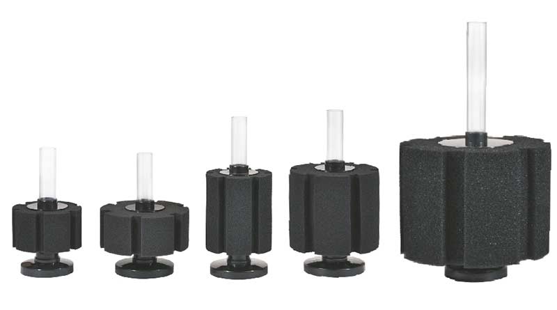 6e933b6f1f942c00ea40a7460c8ab694