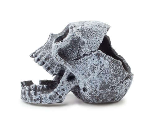 6fef014197b3752424dd1cb8315249a4