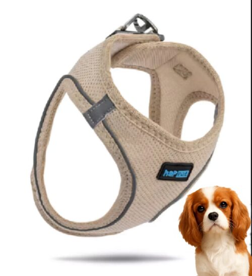 6ff84a55eed541e405c393d615f8f0f1