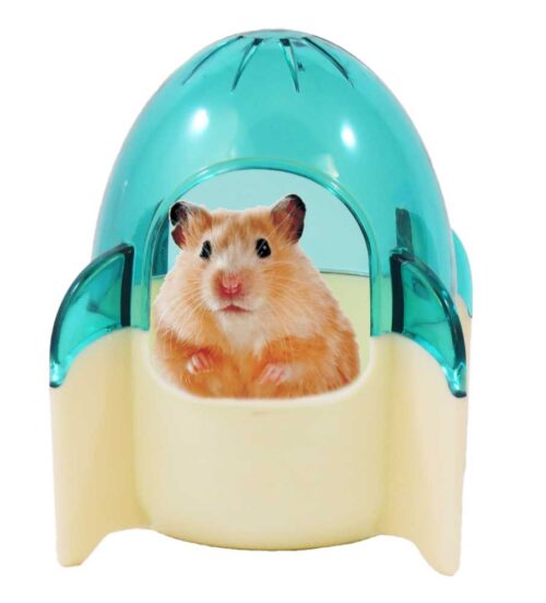 73091e78375c08cc98cf2988203816f8