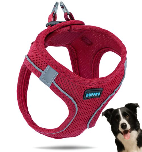 7e06c96195b9d0af40285196384922ff