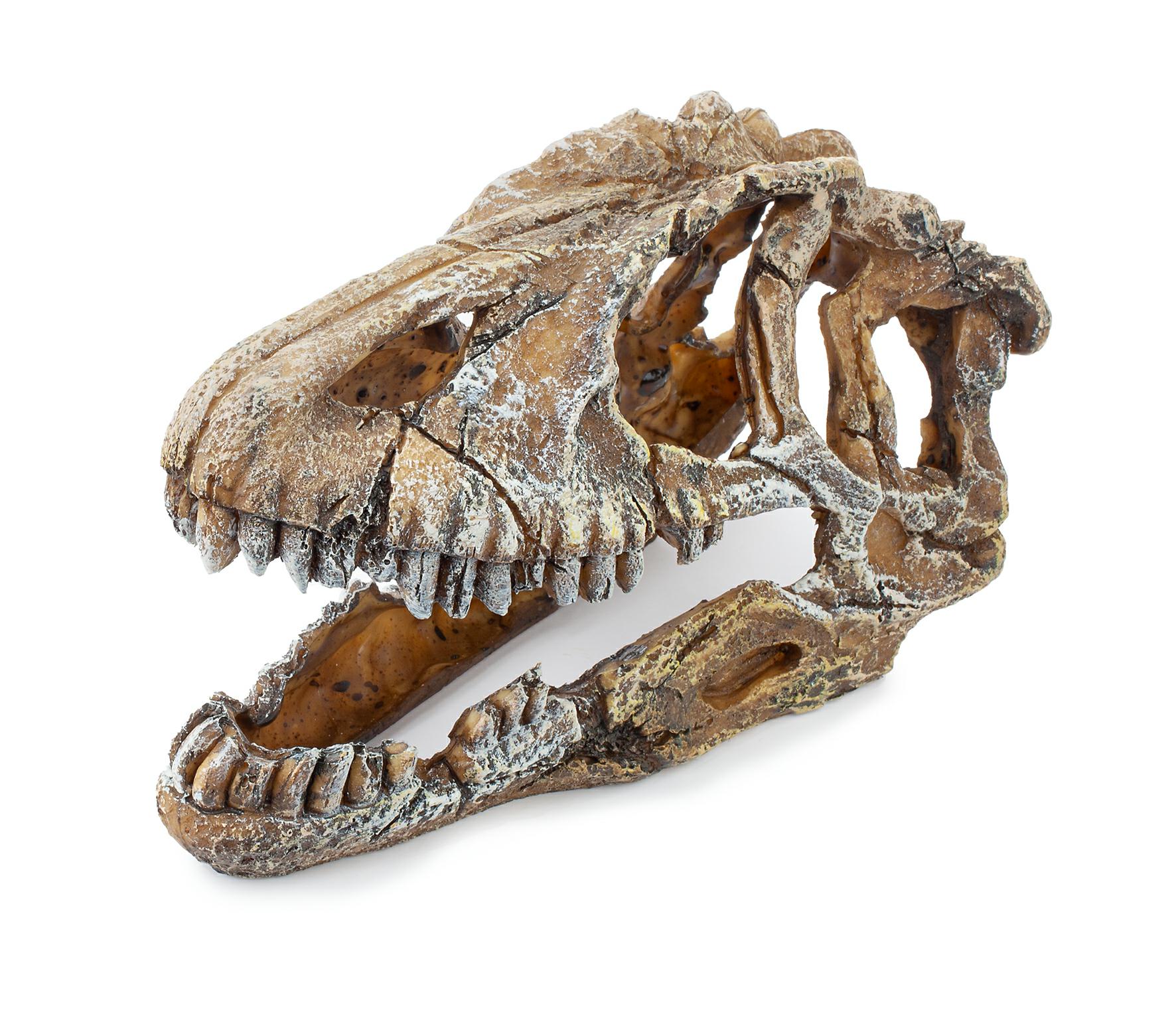 7f6c501a643fa5e8c0a4bed30ac17e1d