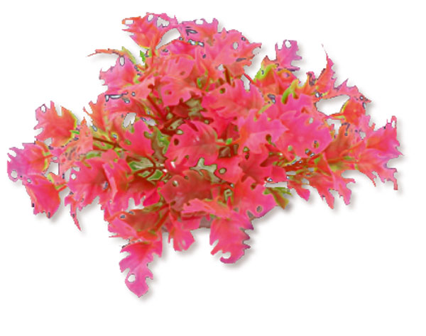 8070968d282f262bcec7674916eefecf