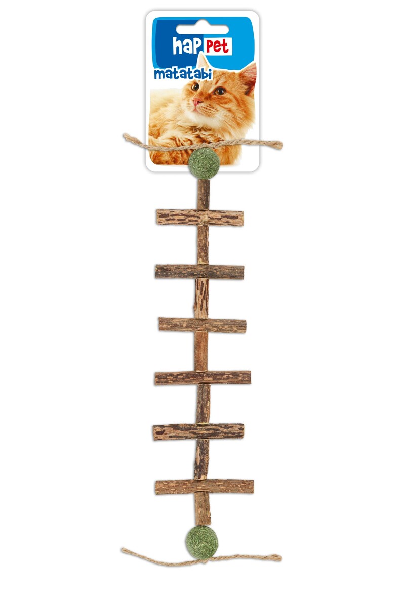 81e50eae55aa509559b11605dd53a1e8