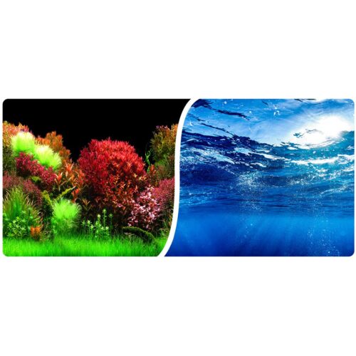 81ef01fdf621e863862d77eb335b877b