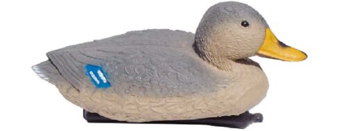 8883f081c07b4dfb8591a9ae018fc7e4