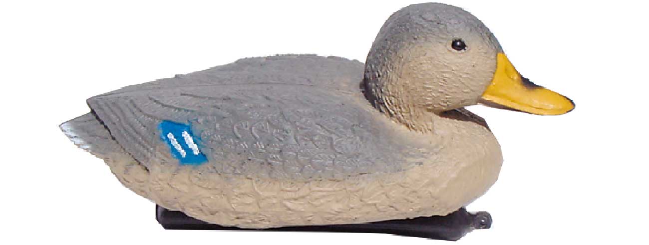 8883f081c07b4dfb8591a9ae018fc7e4