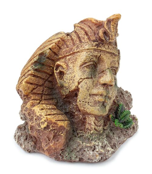 8a085661f6cb79571ecd9ea3a4e06f9e