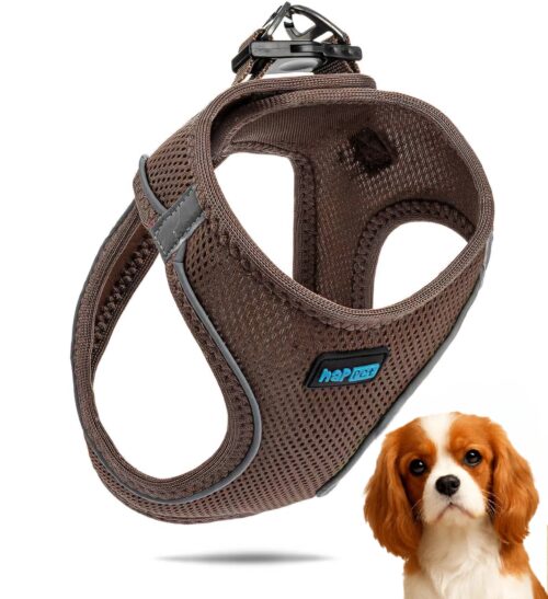 8fc3ce2f5e6042cf0e0c5ae73328ddb4