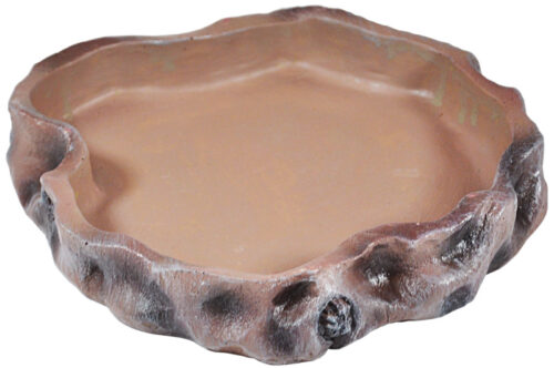 8fe08345283b7db78bae3c8a132e9c26