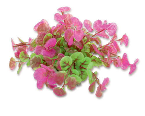 9037195f1c6403d19bdb021f2cacaae8