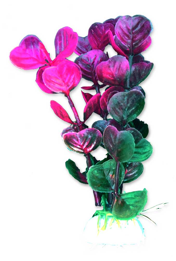 92928681e505c80f5325c2f52bbd3387