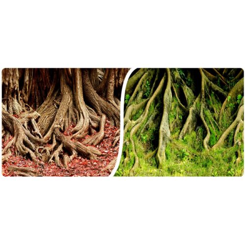 971c8bb8ba447add047028cccb433270