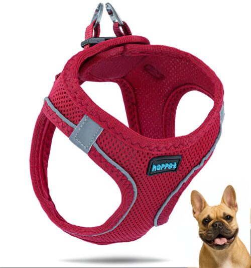 a062c05ffc616d0901326ed8b644617e