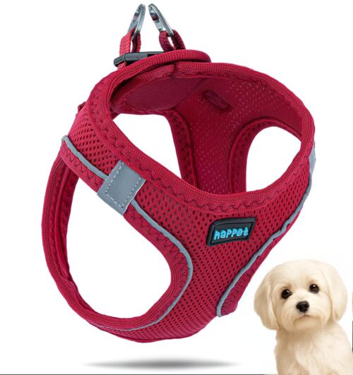 a19fe9bb460d3e05813a5d39ac8704a3