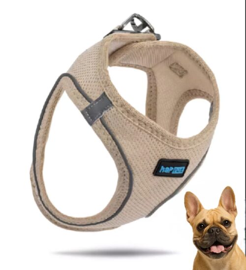 a1af116565efa156ad65a97c929b9104