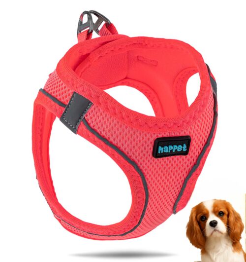 a2a4cfbe85f945c0705a37c4a34756c0