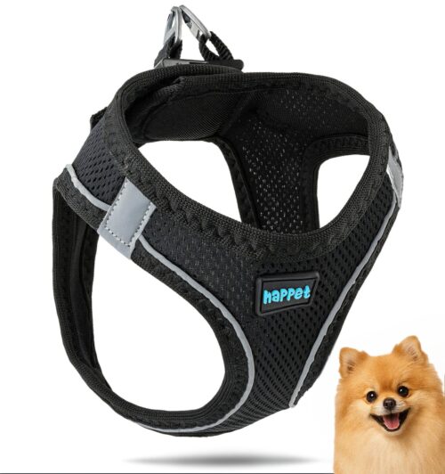 a3e61935733d08219f4ab60c29e3e3aa