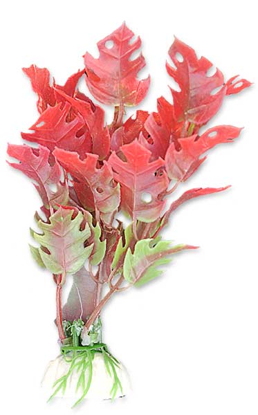 a60370d9ade6a5234045b31b0a331b21