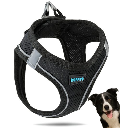 a6960846d95d2b2b9c06dd168ef26e0d