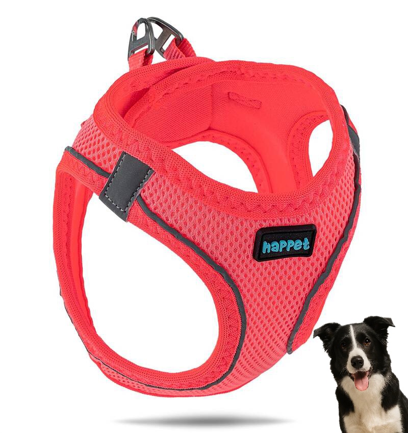 a735eba184953930b9426d4f2c2de6cb