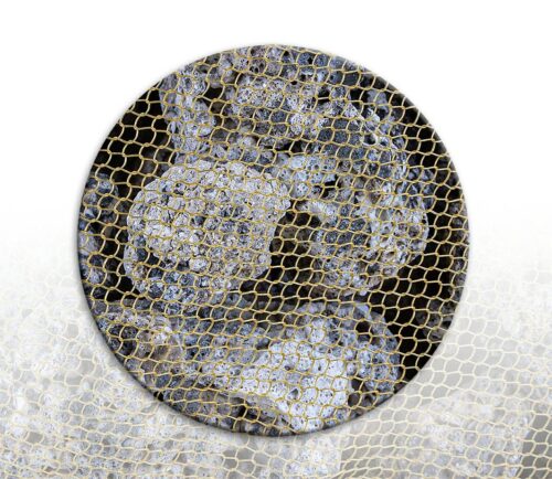 a81f254b288062cf5ddda2f3a1eeac53