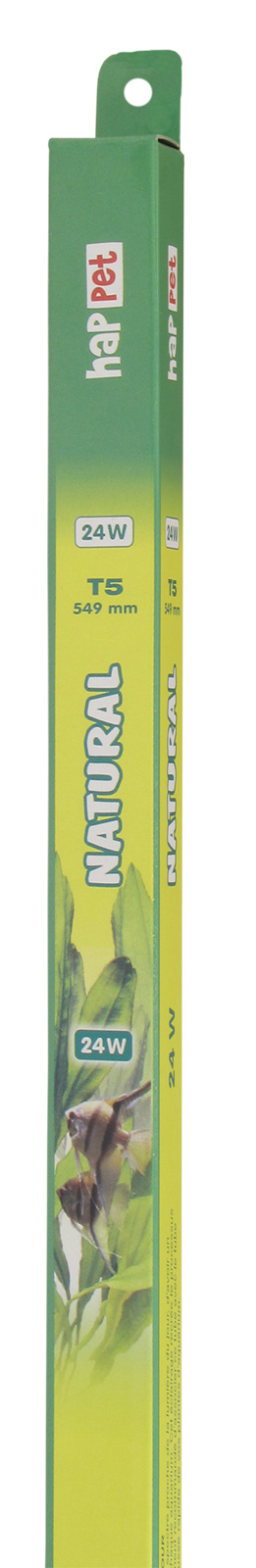 a8800b8207555b5947c19ff684292b6f