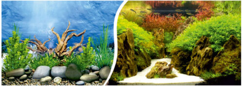 a986afe763c971b701b2b73547a46be6