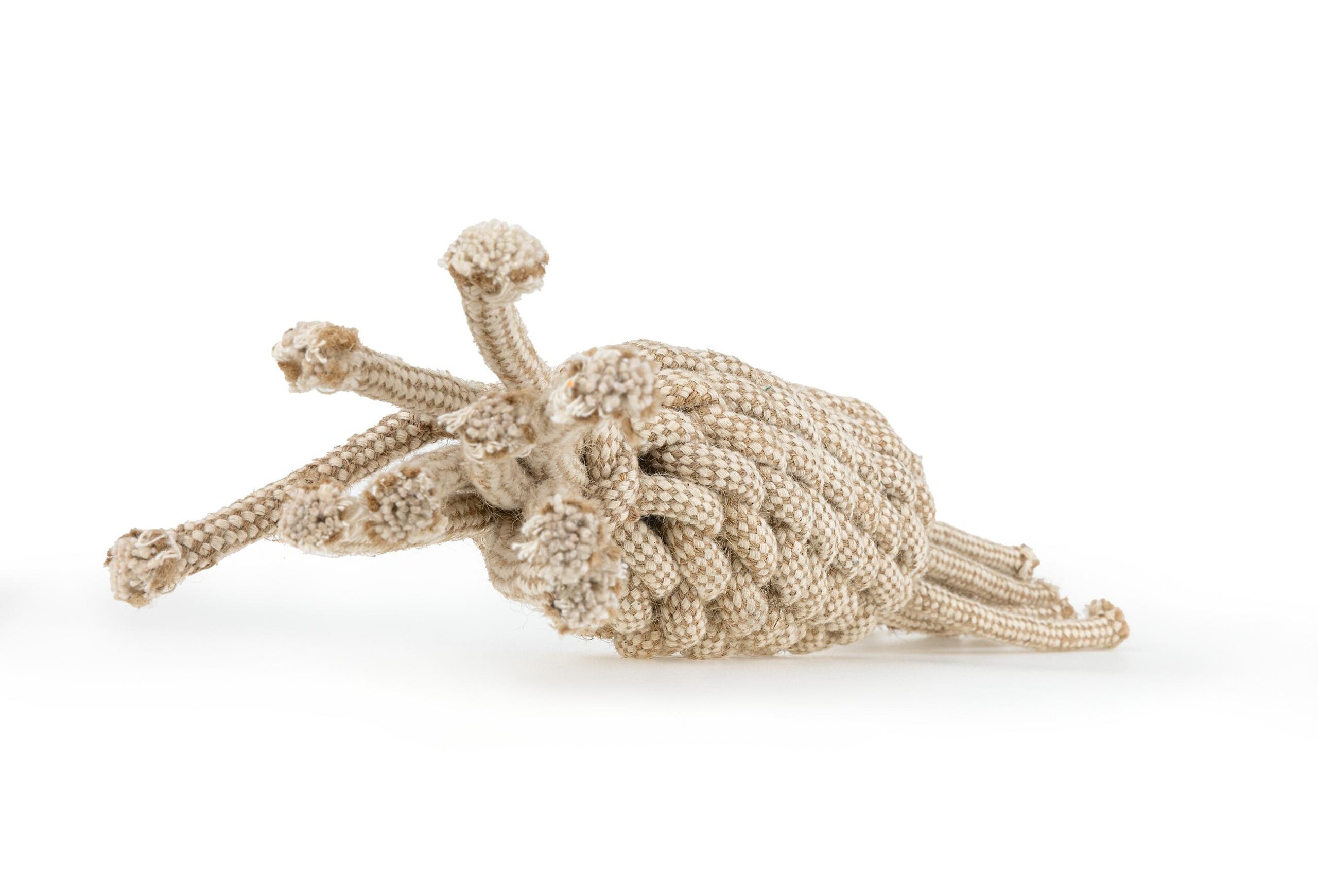 ace2f71a7f4fb3eae2db4b2090f3971d