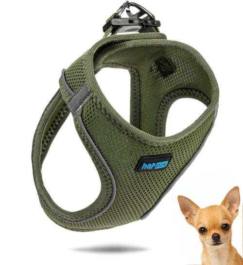 af5fc2555609a44cfc9bc17e061e59ca