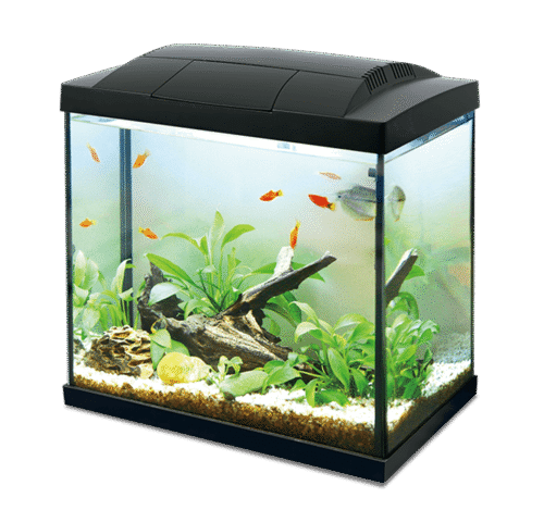 akwarium-hailea-k30-30l-czarne