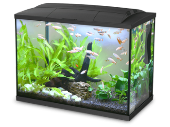 akwarium-hailea-k60-60l-czarne