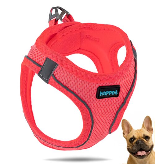 b09c3337023bcc8ee18eb78ceff275fb