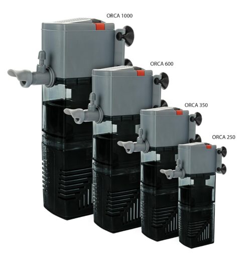 b3790a8511668ea982bf67cfbc168f43