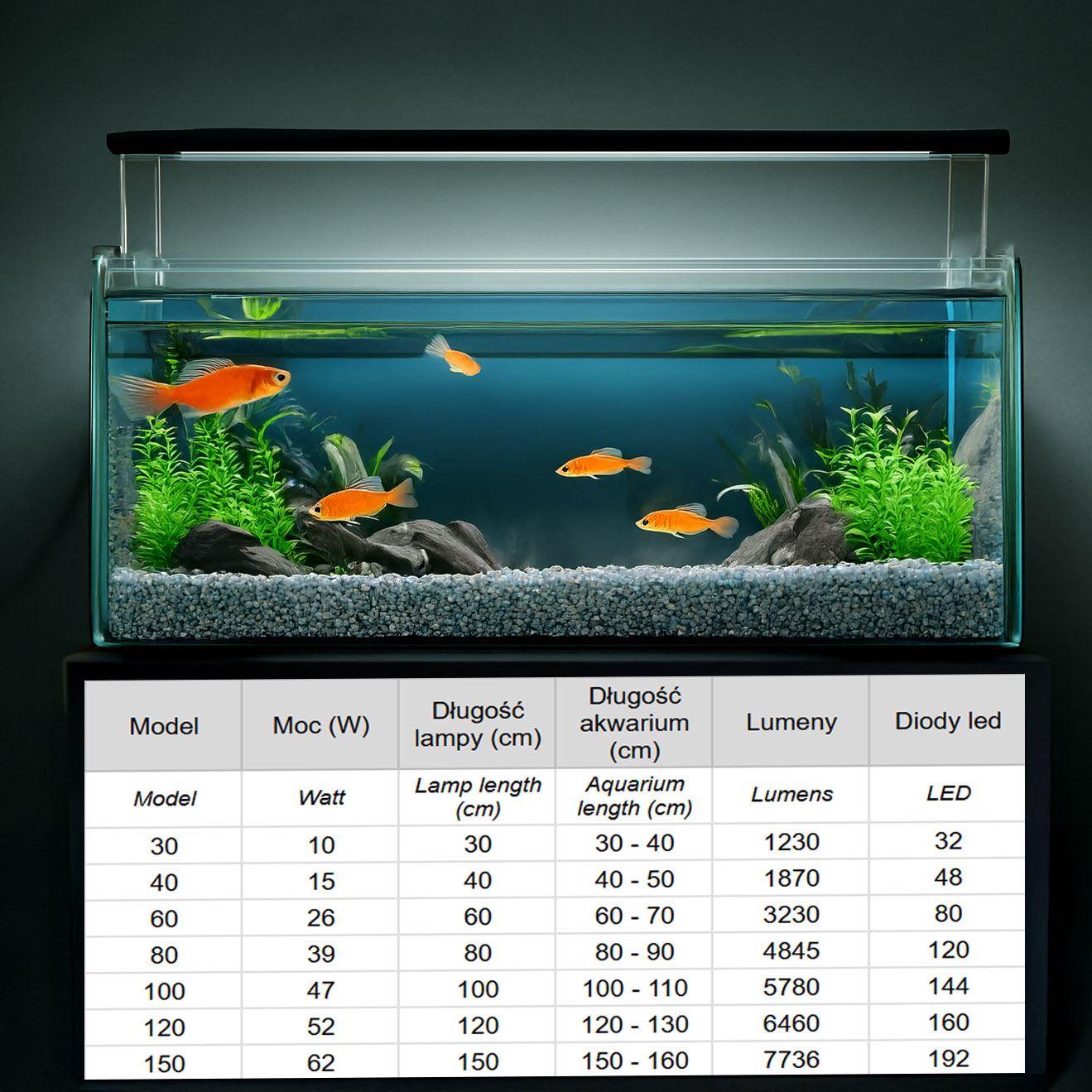 b5185155c3da0d502249be7f441113d6