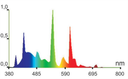 b8361b3ca454d45f157e2883426d4992