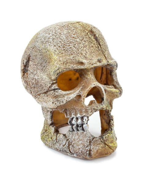 b85f1db9befe42e0b5e9cb0c4084aed2