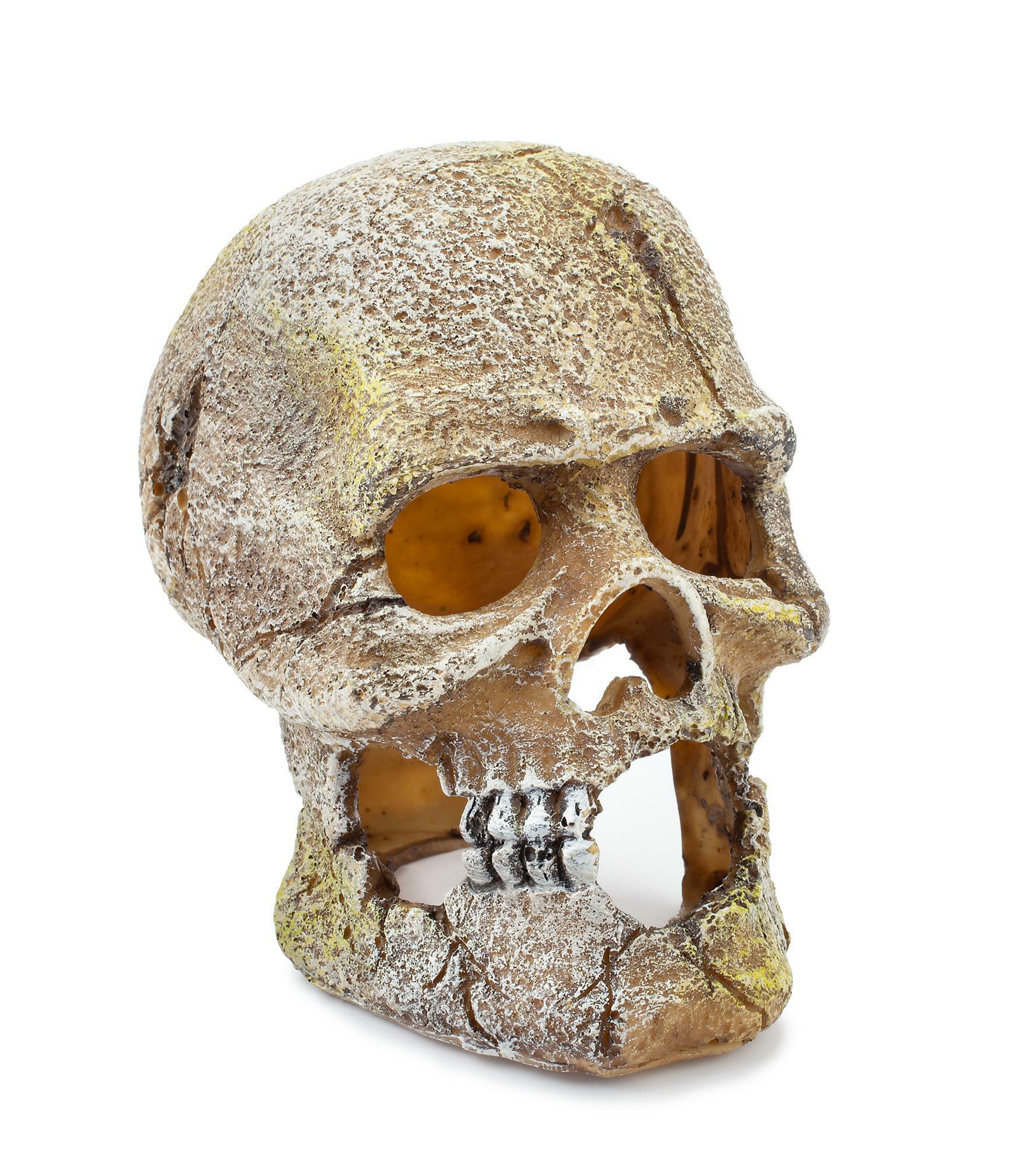 b85f1db9befe42e0b5e9cb0c4084aed2