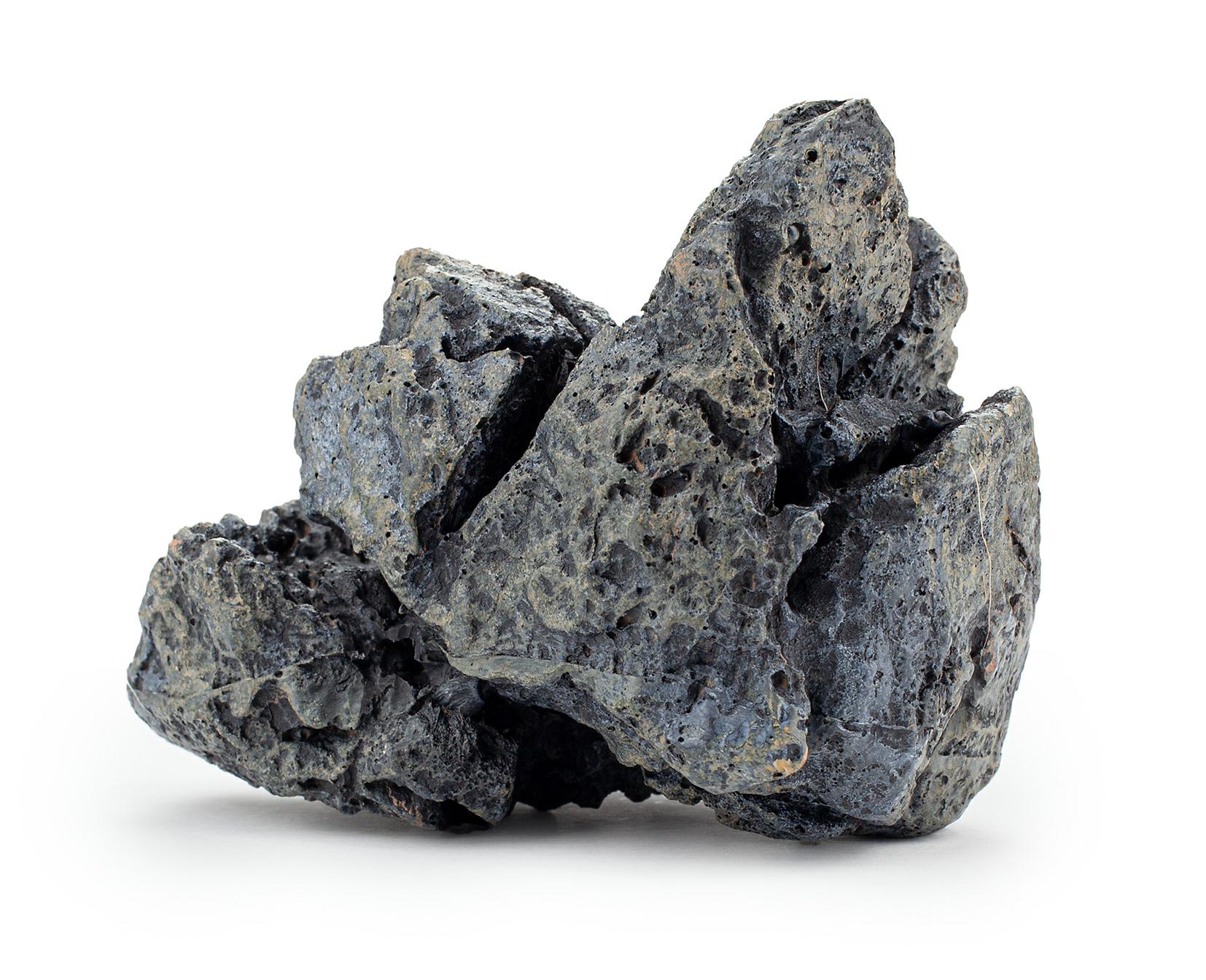 bbe4244c59027ebf59fa572e08b4f337