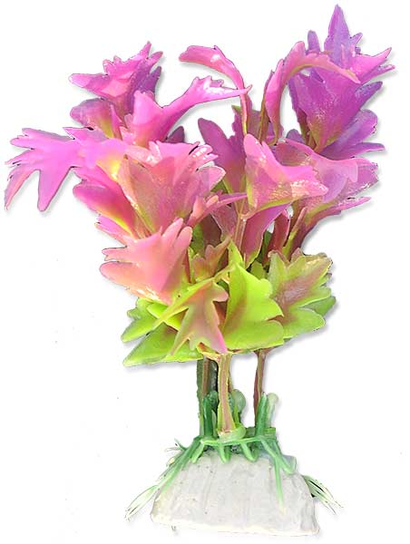 bced29dccbf916ddbe337701edc0d1fb