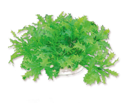 bed4ccb4fb4801111a8a7e5298aa041c