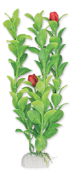 c00bb4446b2db8c2e7c8405259bccfc5