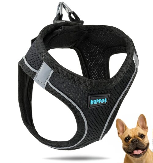 c04e5098d807c554869e5a1e5a1e532e