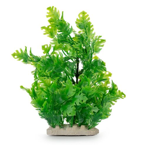 c1d150b6ba6b377b4b458f161d3adcd9