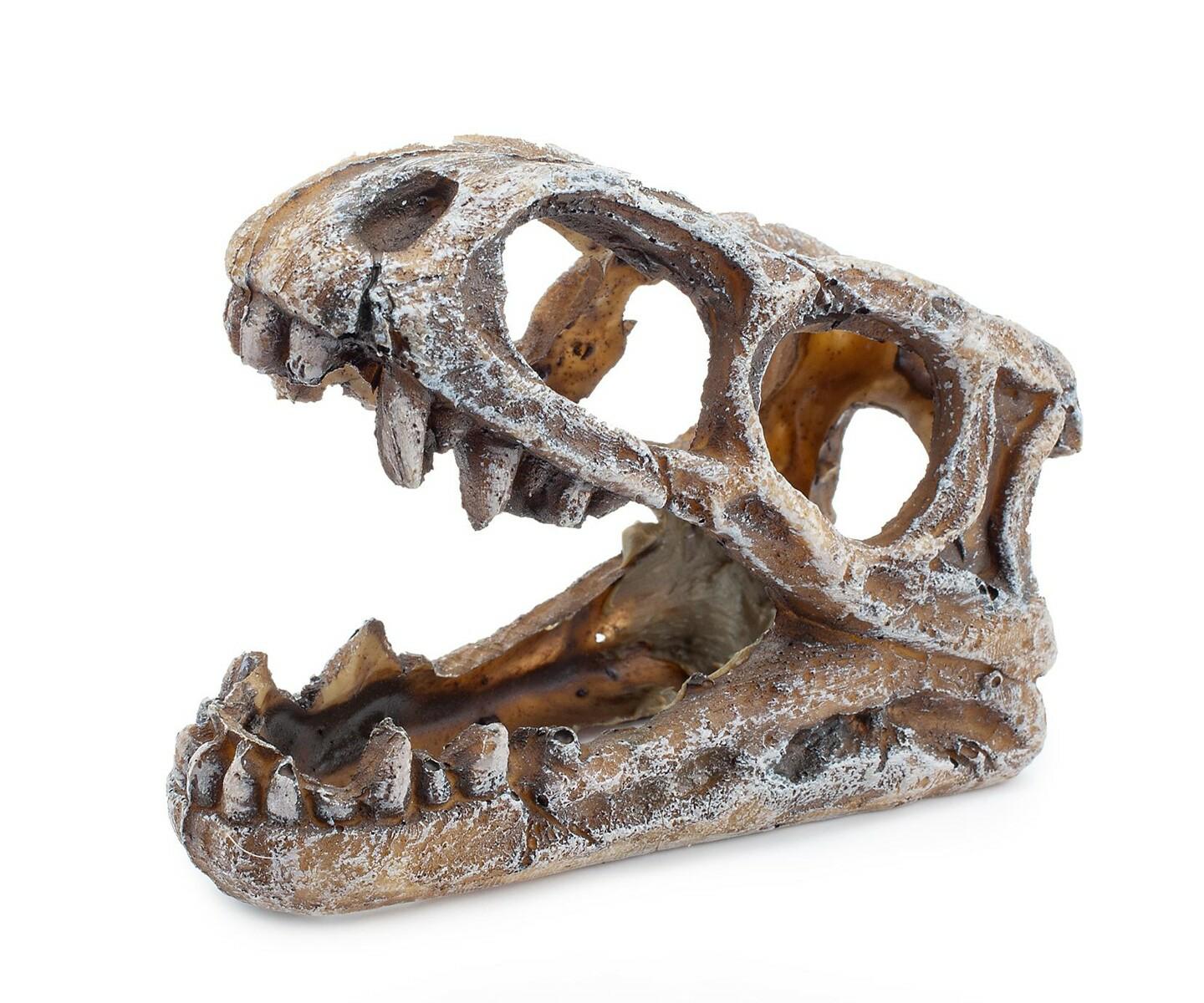 c3cc780b93a22e2f230db3d6e08d9210